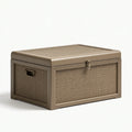 Cassapanca da esterno 100 x 50 x 50 cm in plastica effetto rattan tortora con coperchio e chiusura